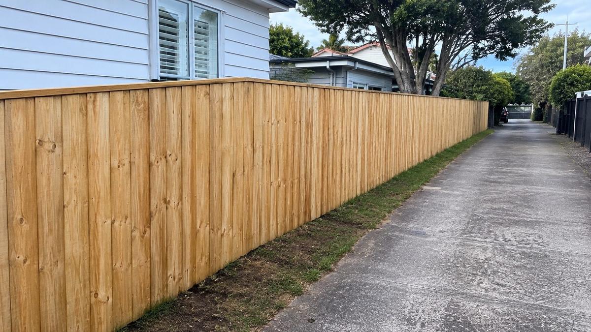 Paling fence, full boundary